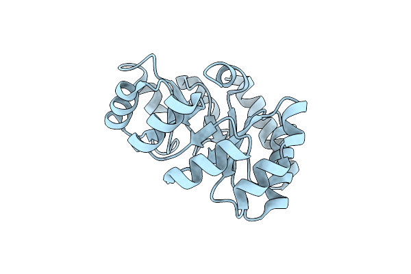 8E01 image