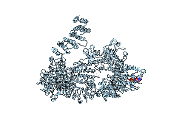8E06 image