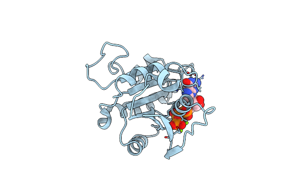8E0C image