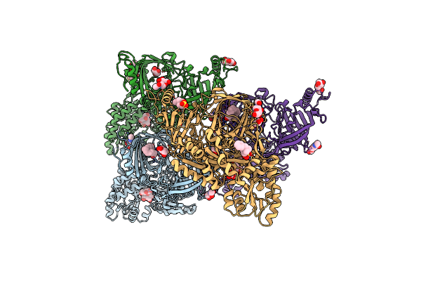 8E0P image