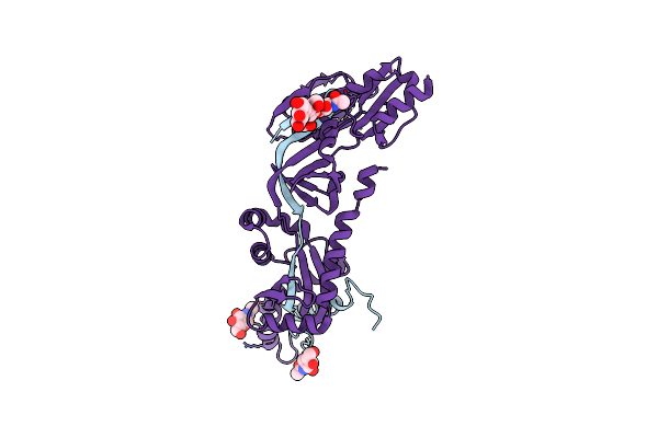 8E15 image