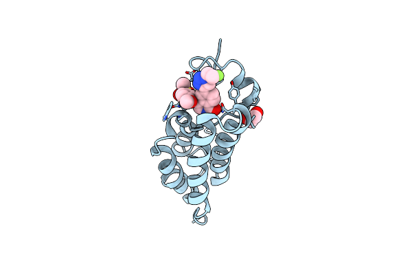 8E17 image