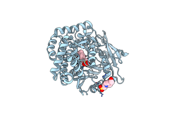 8E18 image