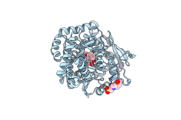 8E19 image