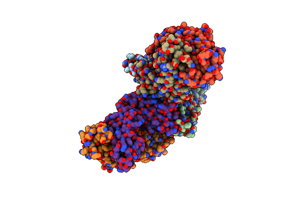 8E1G image