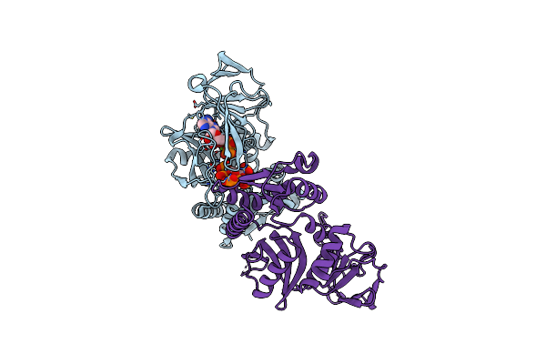 8E1I image