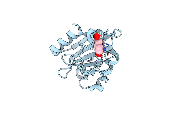 8E1K image