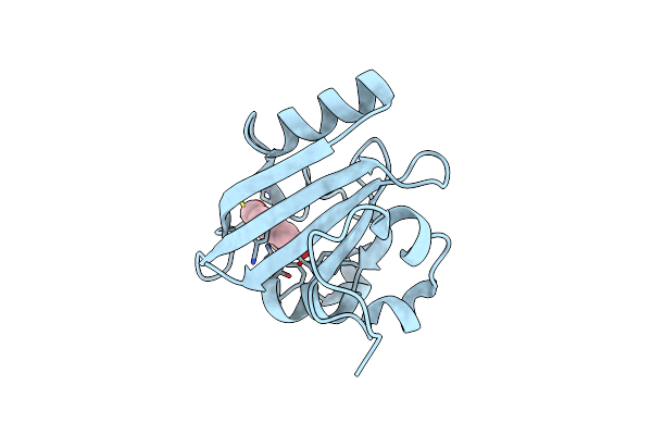 8E1L image