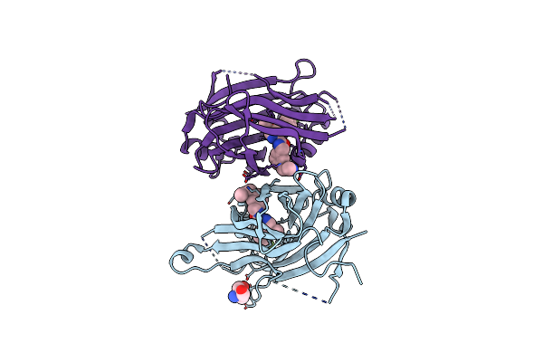 8E1O image