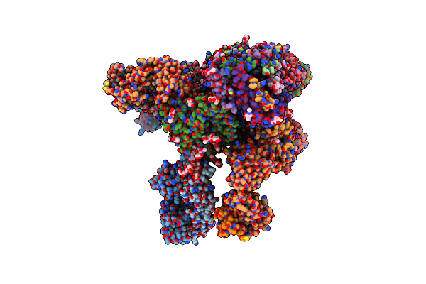 8E1P image