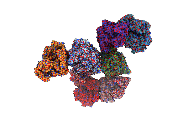 8E1U image