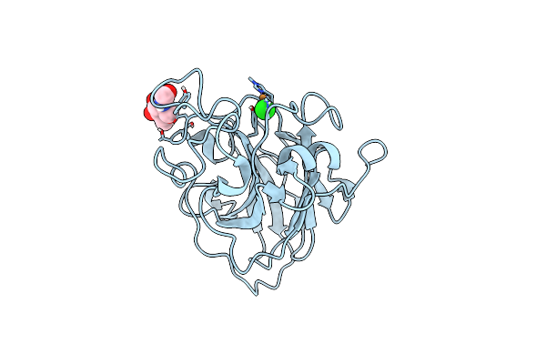 8E1W image