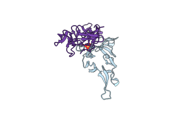 8E1Z image