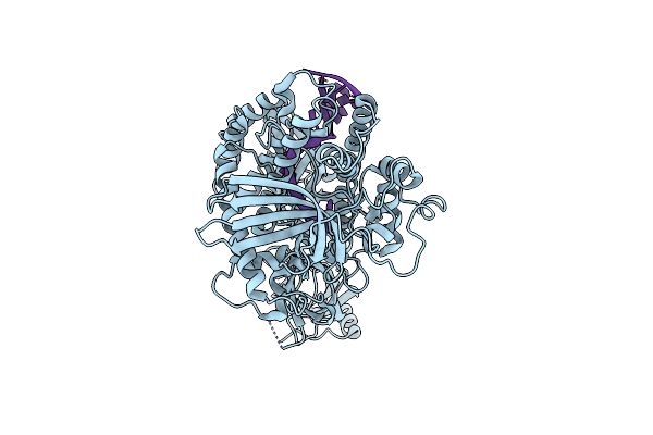 8E2A image
