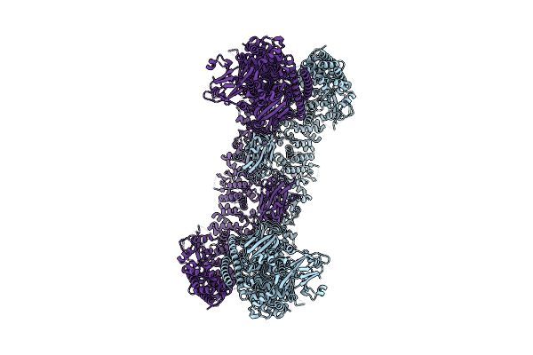8E2D image