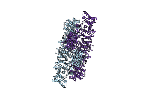 8E2E image