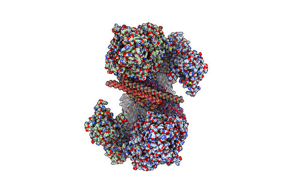8E2I image