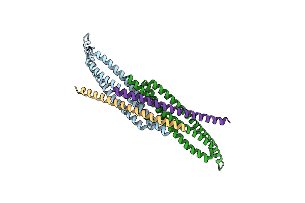 8E2J image