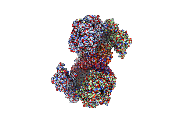 8E2K image