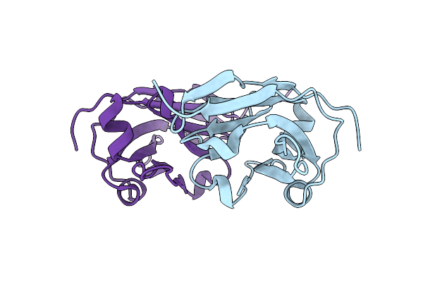 8E2N image