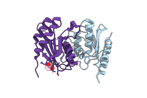 8E2R image