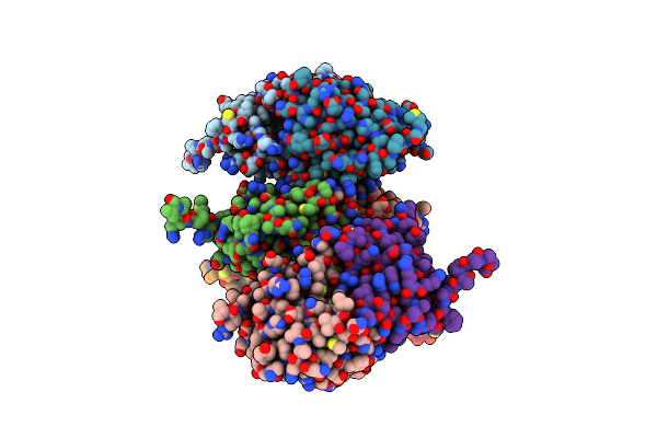 8E2S image