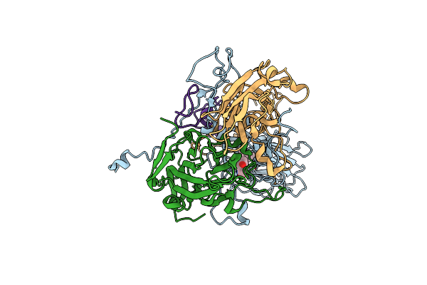 8E2X image