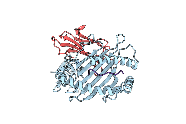 8E2Z image