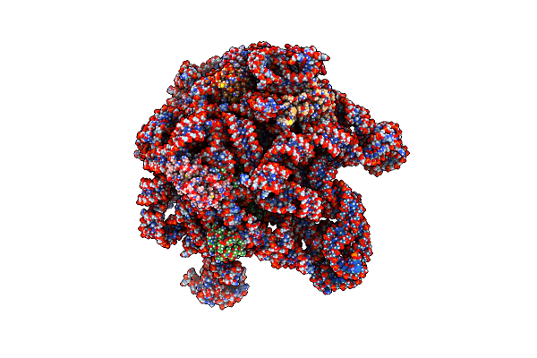 8E32 image