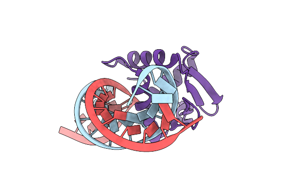 8E3R image