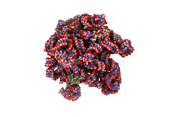 8E42 image