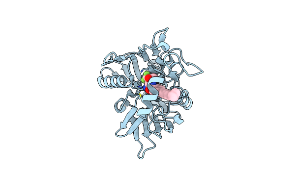 8E4A image