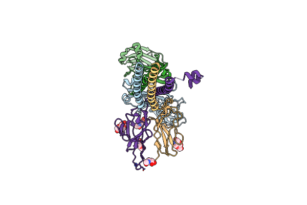 8E4C image