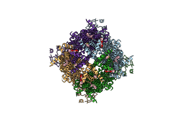8E4L image