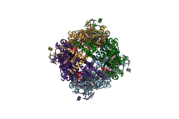 8E4M image