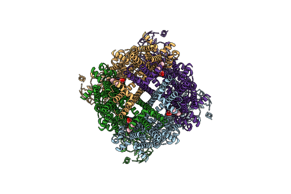 8E4N image