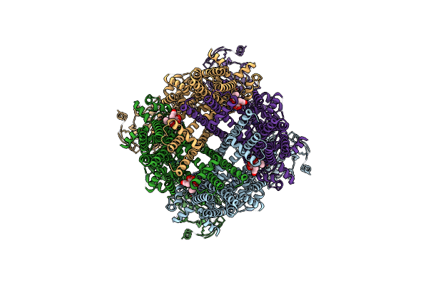 8E4O image