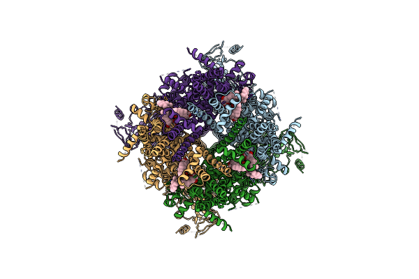 8E4P image