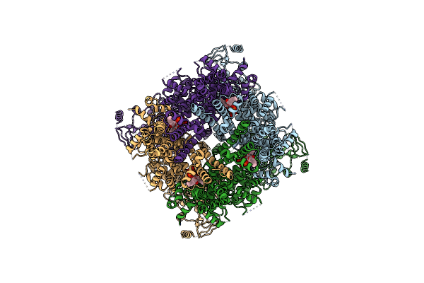 8E4Q image