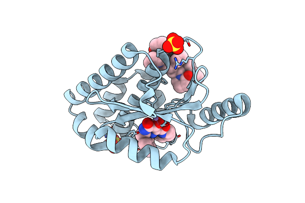 8E4S image