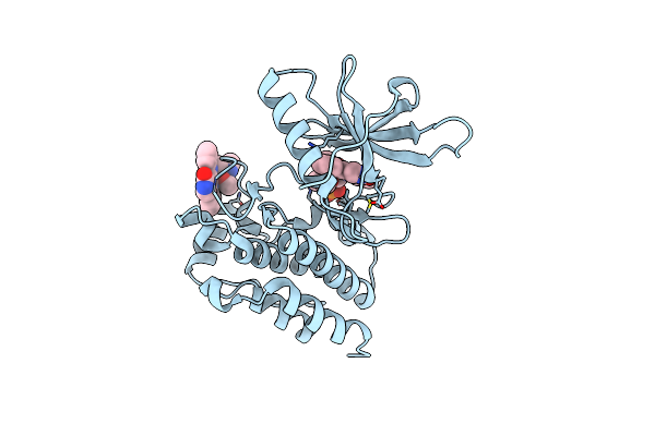 8E4T image