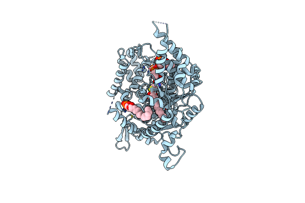 8E4Y image