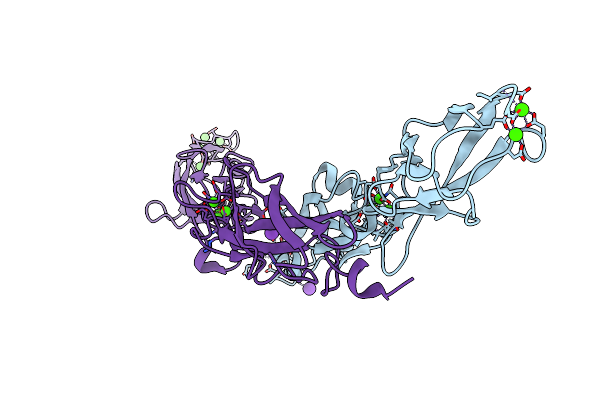 8E51 image