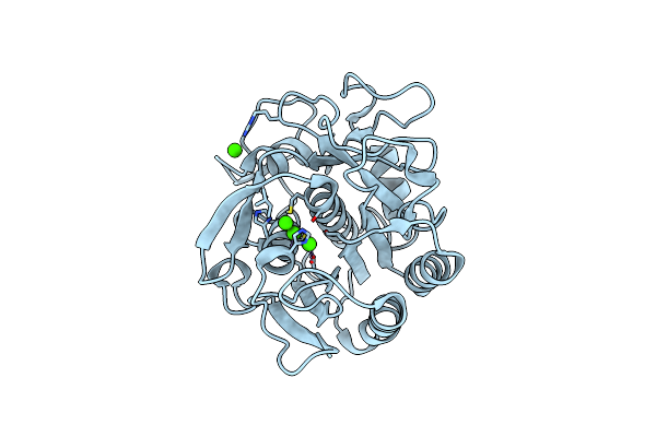 8E52 image
