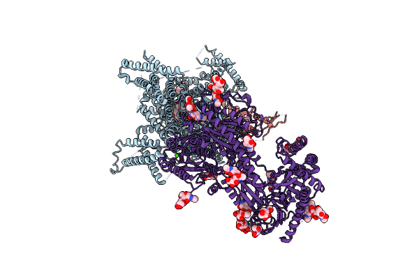 8E58 image