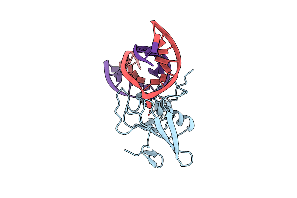 8E5E image