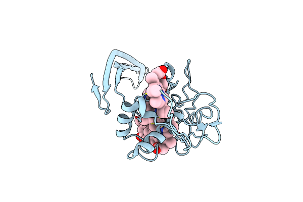 8E5G image