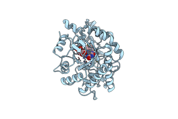 8E5H image