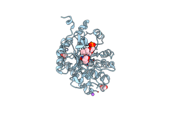 8E5I image