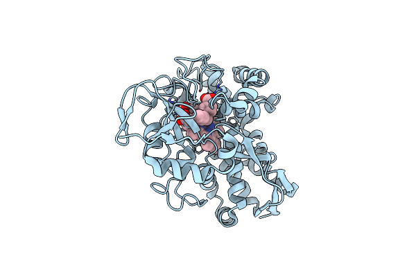 8E5J image